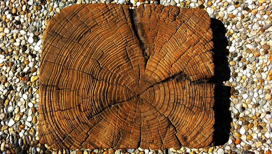 drevo šlapák vzor 1